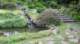 dsc00476_small.jpg