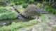 dsc00477_small.jpg