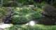 dsc00478_small.jpg