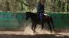 dsc00136_small.jpg