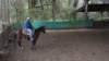 dsc00159_small.jpg