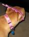 img_3501_small.jpg