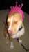 img_3503_small.jpg