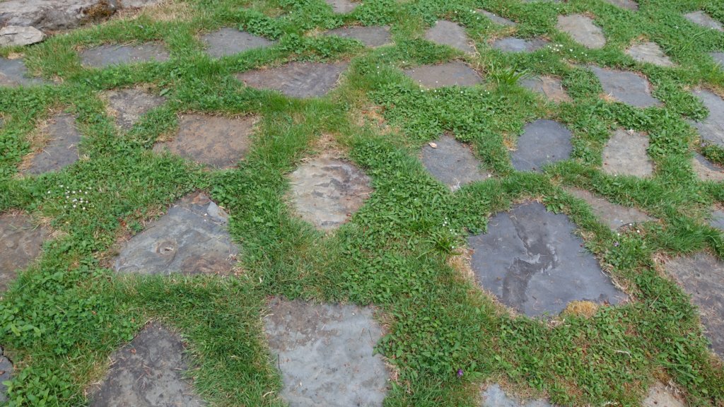 dsc06317.jpg
