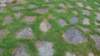 dsc06317_small.jpg