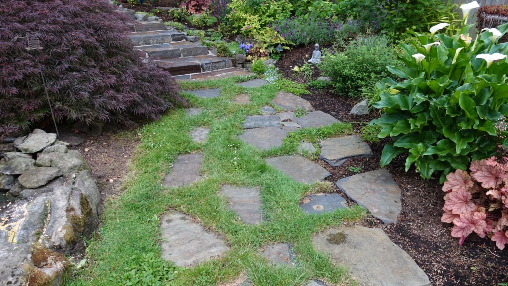 dsc06319.jpg