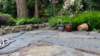 dsc06326_small.jpg
