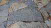 dsc06327_small.jpg