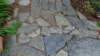 dsc06329_small.jpg