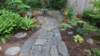 dsc06331_small.jpg