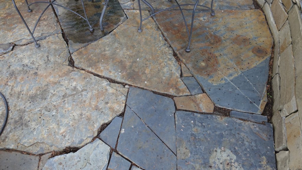 dsc06334.jpg