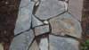 dsc06338_small.jpg