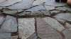 dsc06339_small.jpg