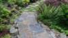 dsc06341_small.jpg