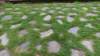 dsc06345_small.jpg