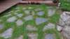 dsc06346_small.jpg