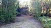 _072449_small.jpg