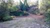 _072511_small.jpg