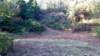 _072530_small.jpg