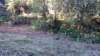 _072536_small.jpg