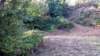 _072544_small.jpg