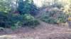 _072610_small.jpg