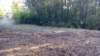 _072656_small.jpg