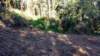 _072819_small.jpg