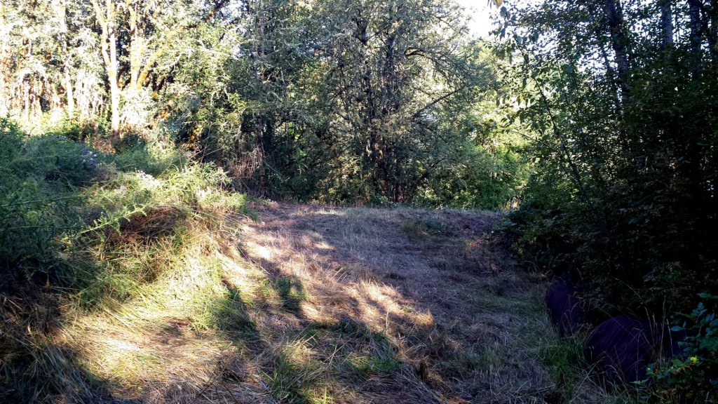 _072906.jpg
