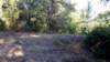 _072944_small.jpg