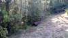 _073017_small.jpg
