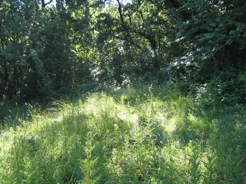 main004.jpg