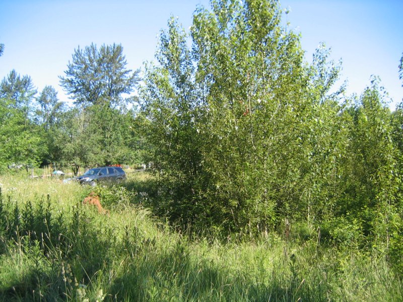 main009.jpg