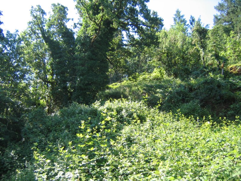 main014.jpg