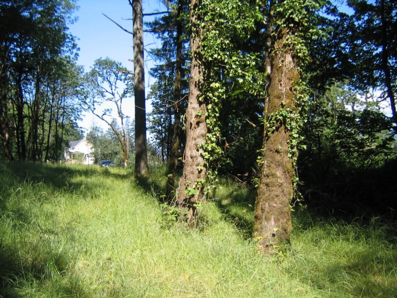 main021.jpg