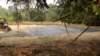 dsc00690_small.jpg