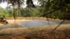 dsc00693_small.jpg