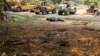 dsc00694_small.jpg
