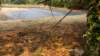 dsc00695_small.jpg