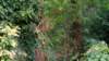 dsc00696_small.jpg