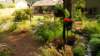 dsc00698_small.jpg