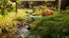 dsc00699_small.jpg