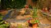 dsc00700_small.jpg