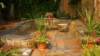 dsc00701_small.jpg