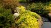 dsc00702_small.jpg