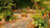 dsc00703_small.jpg