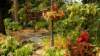 dsc00704_small.jpg
